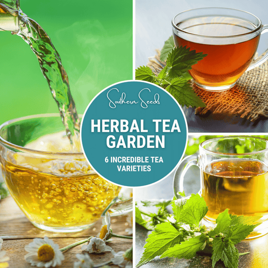 Herbal Tea Seed Collection – 6 Varieties