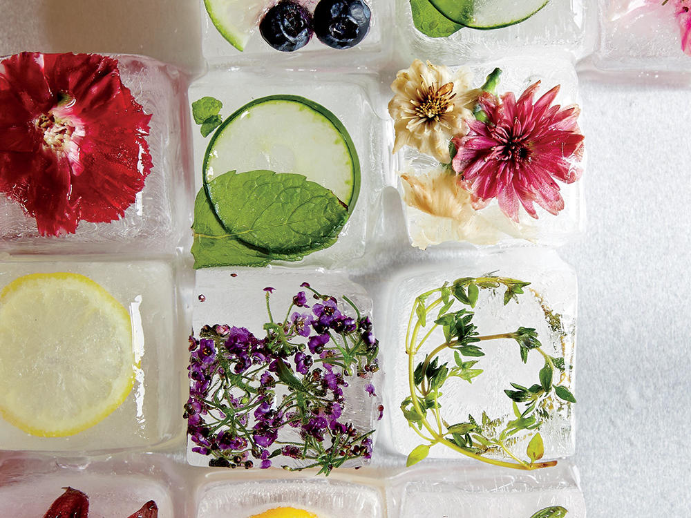 Ecozoi Stainless Steel Ice Trays for Freezer, 12 Large Cubes with Easy Release, 2 Pack