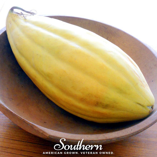 Banana Melon – 20 Seeds