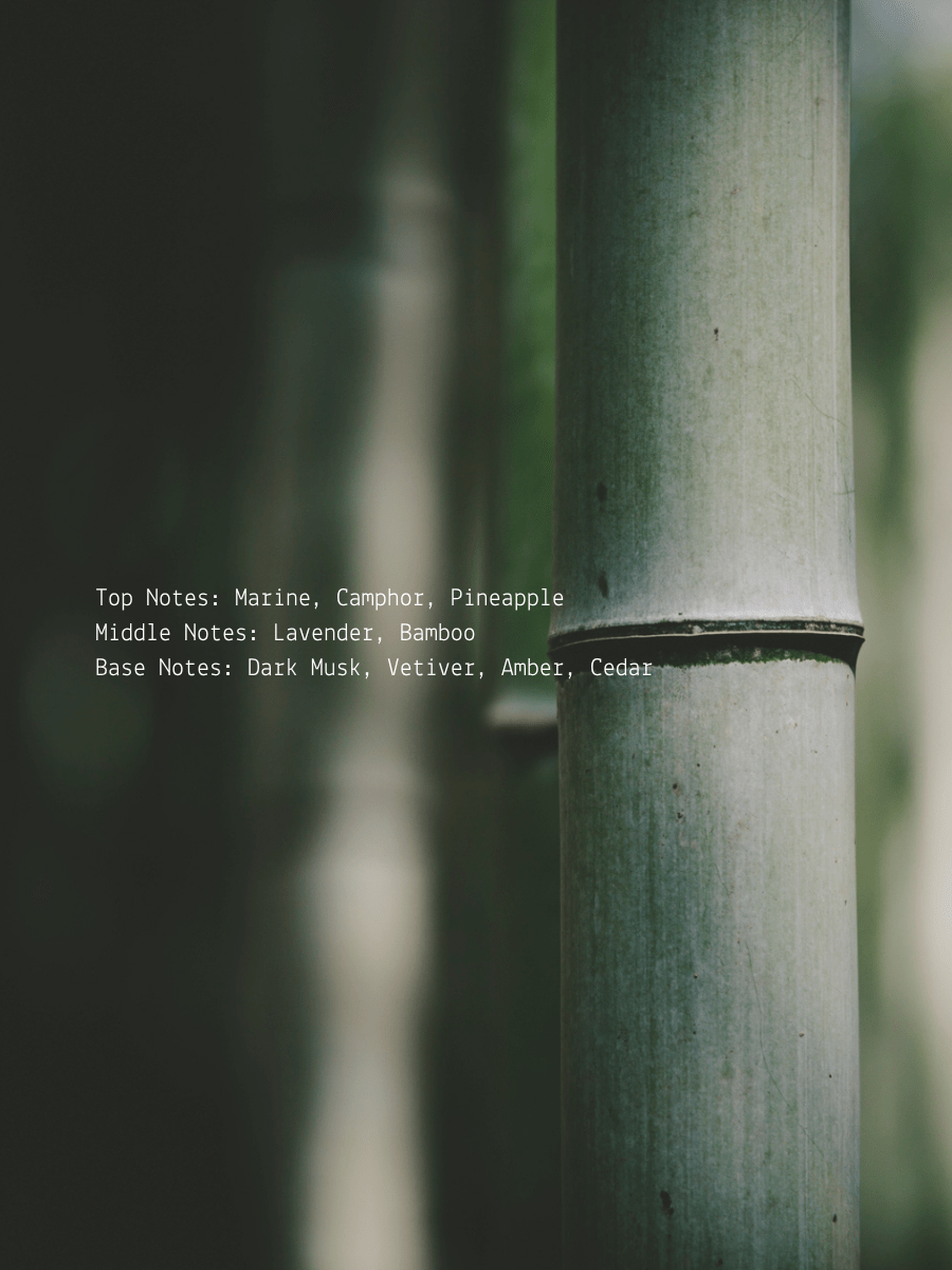 Bamboo + Dark Vetiver Third Eye Wellness Candle