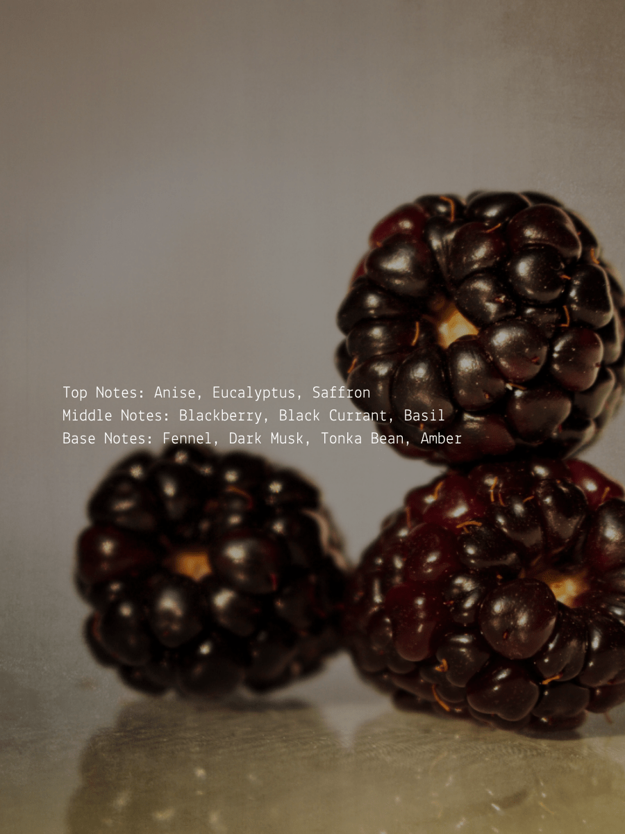 Black Currant + Fennel Dark Feminine Wellness Candle