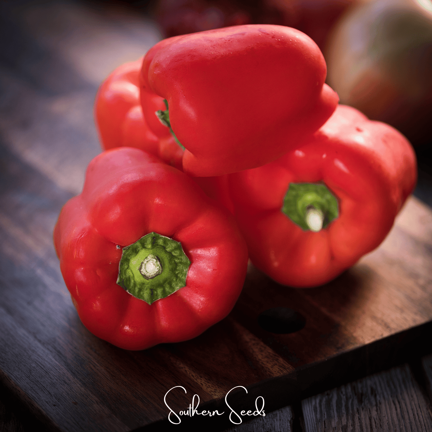 Yolo Wonder Bell Pepper – 30 Seeds