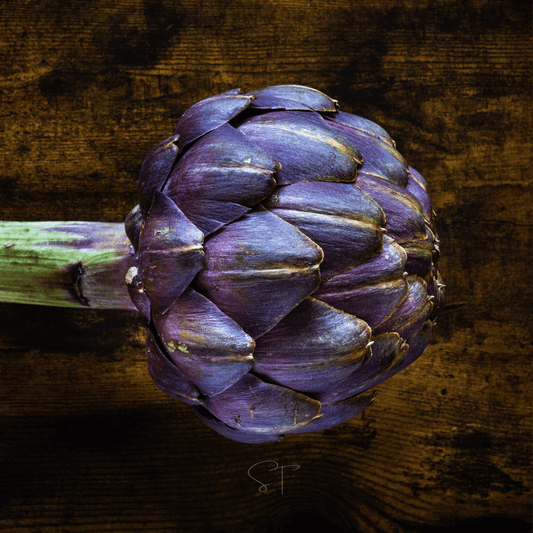Purple Romagna Artichoke – 25 Seeds
