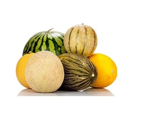 Melon Seeds - Multiple Varieties: Watermelon, Musk, Cantaloupe, Crenshaw, Canary, Asian - Non-GMO, Heirloom