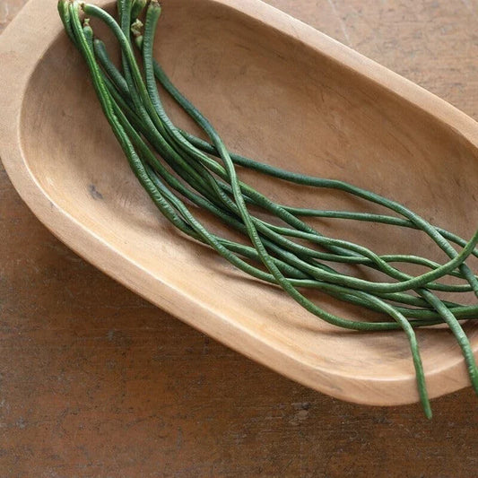 Python Yard Long Bean Seeds - 20 Seeds - Organic, Heirloom Variety - Vigna unguiculata subsp. sesquipedalis