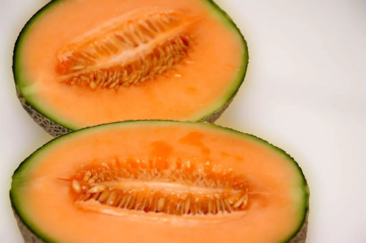 Melon Seeds - 40 Count Iroquois Muskmelon Cantaloupe - Cucumis melo - Grow Your Own Delicious Fruit
