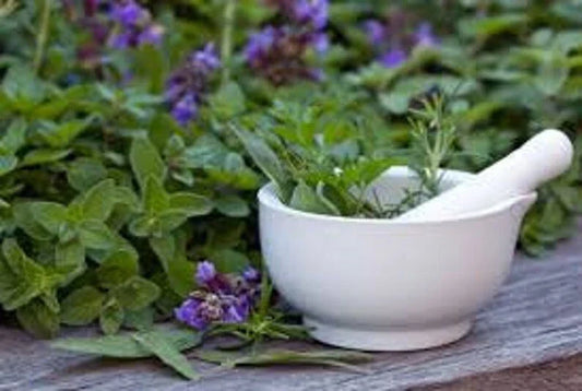 Medicinal Herb Seed Set, 12 Individual Packs, Culinary & Therapeutic Varieties, (Ocimum basilicum, Mentha piperita, etc.)