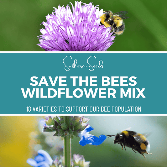 Save the Bees Wildflower Seed Mix (18 Varieties) – 1,000 Seeds