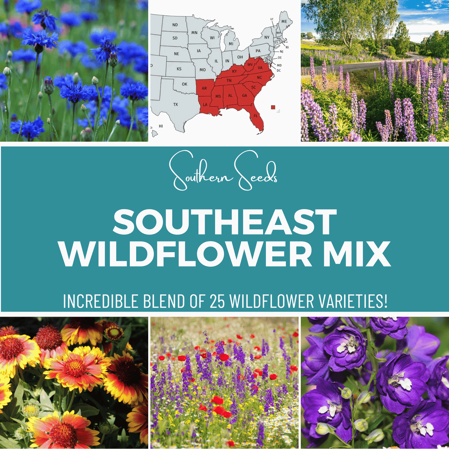 Southeast Wildflower Seed Mix (24 Varieties) – 1,000 Seeds