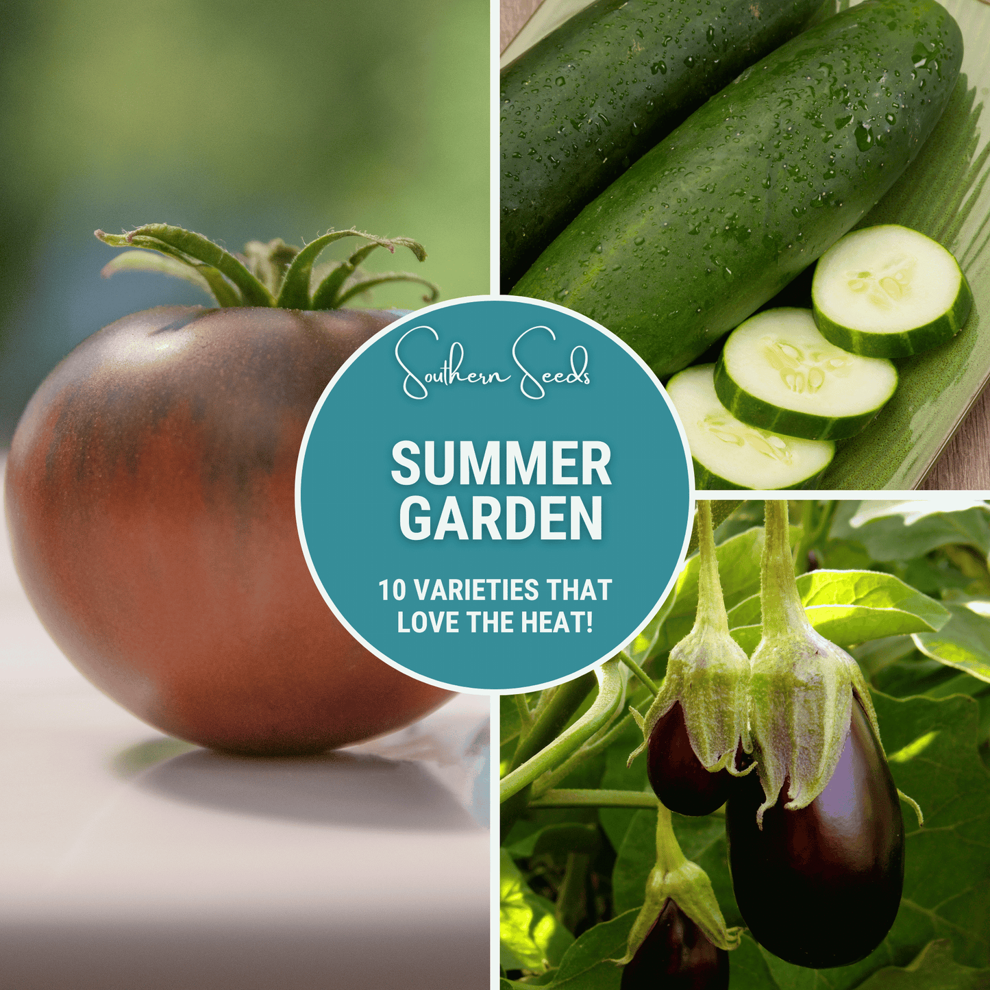 Summer Garden Seed Collection – 10 Heat Loving Varieties