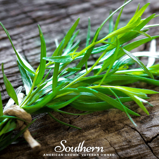 Tarragon – 300 Seeds