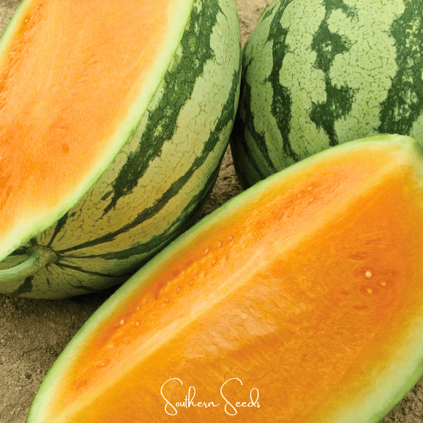 Tendersweet Orange Watermelon – 25 Seeds